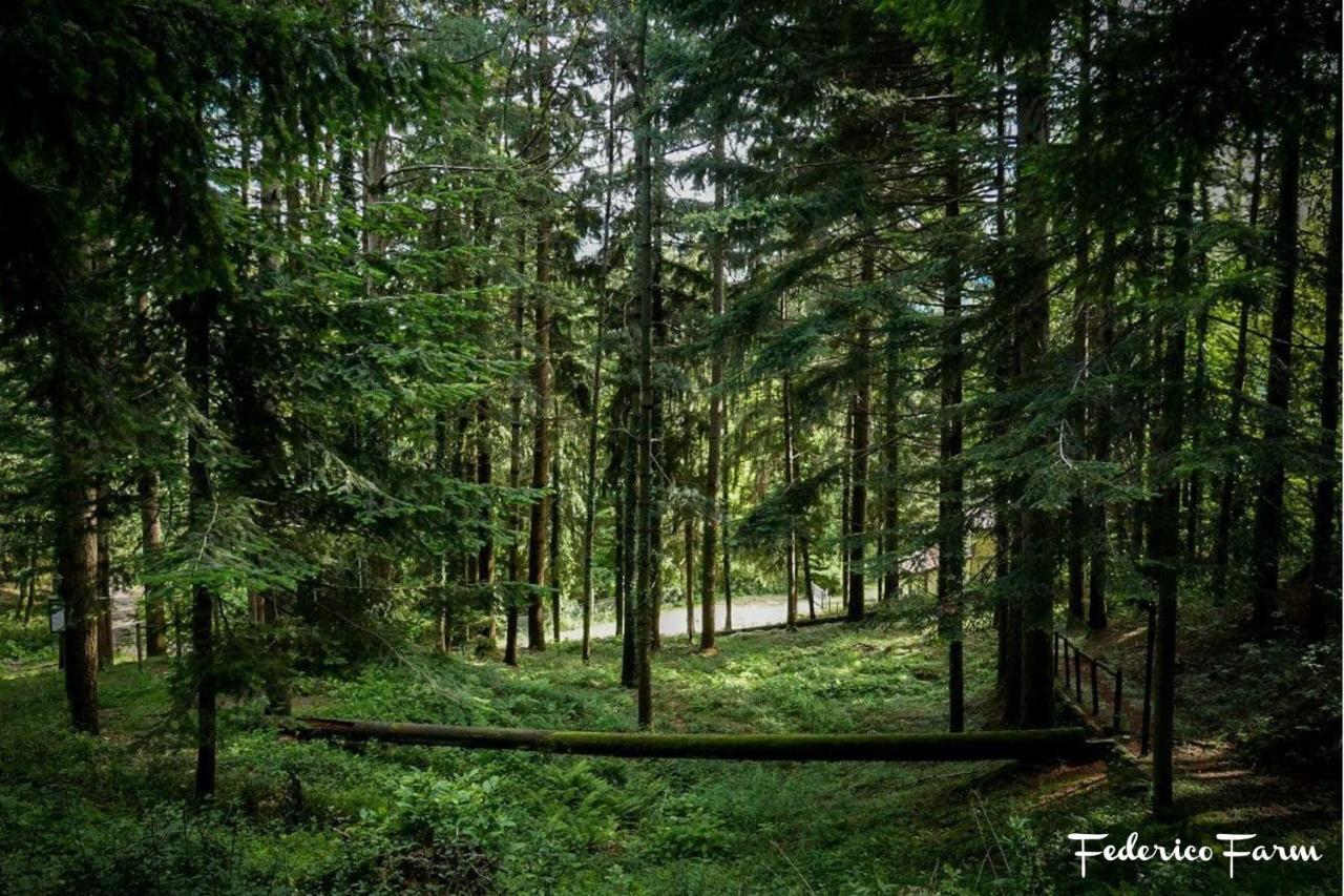 Camping Grondola - Federicofarm Pontremoli Luaran gambar