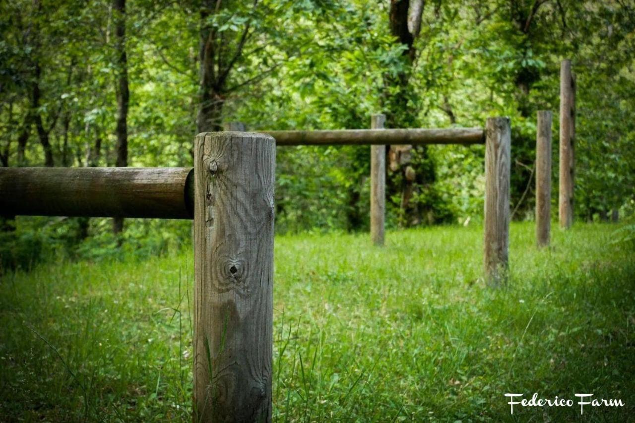 Camping Grondola - Federicofarm Pontremoli Luaran gambar
