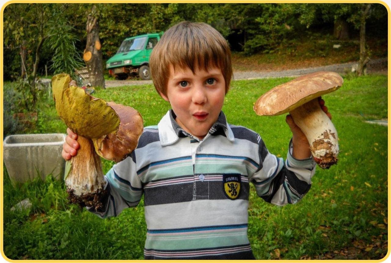 Camping Grondola - Federicofarm Pontremoli Luaran gambar