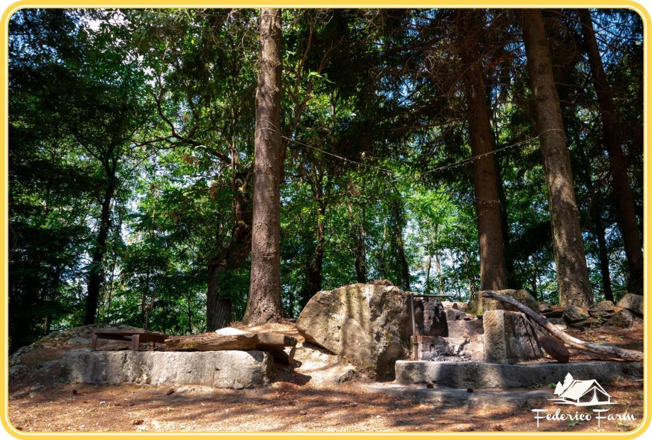 Camping Grondola - Federicofarm Pontremoli Luaran gambar