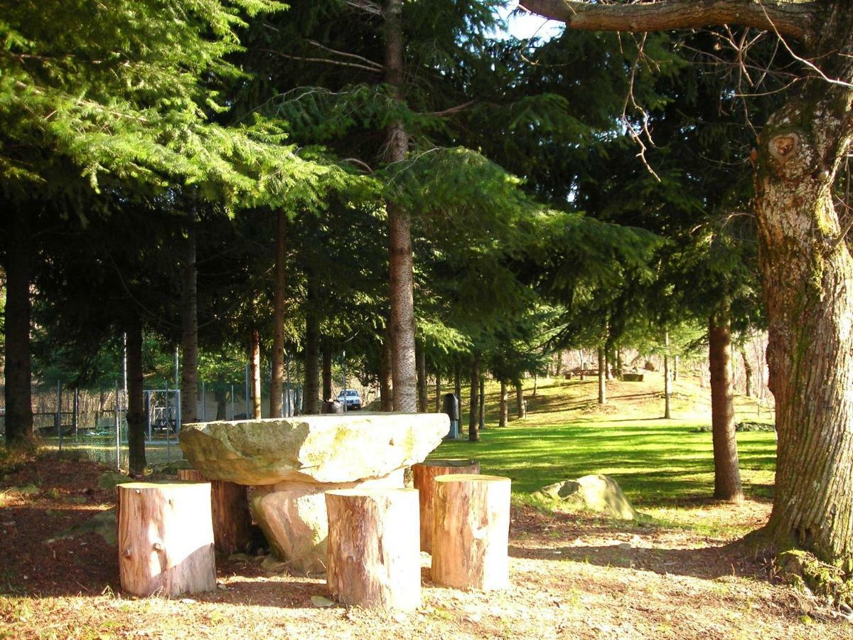 Camping Grondola - Federicofarm Pontremoli Bilik gambar